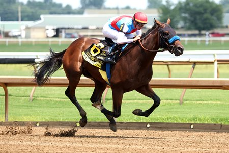 Salahudin wins the Ellis Park Juvenile Stakes at Ellis Park