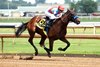 Salahudin wins the 2026 Ellis Park Juvenile Stakes at Ellis Park