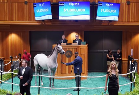 The Into Mischief filly consigned as Hip 217 in the sales ring at Fasig-Tipton's The Saratoga Sale