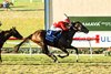 Rigney Racing's Tam Tam and jockey Junior Alvarado win the Grade I $300,000 Del Marks Oaks  Saturday, August 22, 2026 at Del Mar Thoroughbred Club, Del Mar, CA. 
Benoit Photo