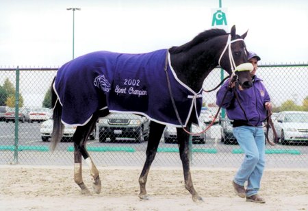 Orientate after his victory in the 2002 Breeders' Cup Sprint at Arlington Park