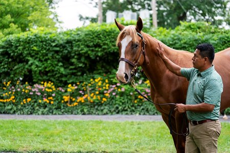 Fasig-Tipton's The Saratoga Sale begins its two-day run Aug. 10 