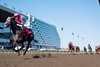 Luster wins the 2026 King's Plate Stakes at Woodbine