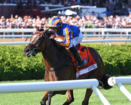 Survie flies late to win the Christophe Clement Turf Stakes at Saratoga Race Course