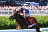 Survie wins the 2026 Christophe Clement Turf Stakes at Saratoga Race Course