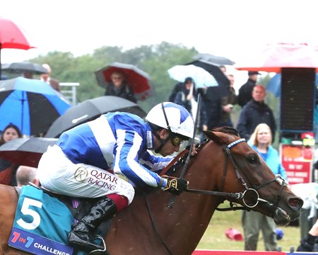 The Lost King wins the Grand Finale Stakes at York Racecourse