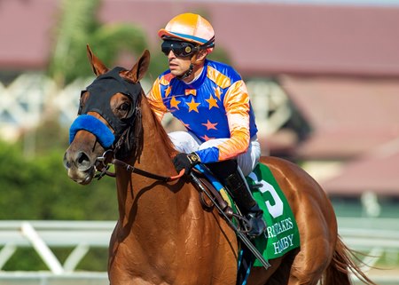 Sorrento Stakes winner Holmby is among the top contenders for the Del Mar Debutante Stakes at the seaside track