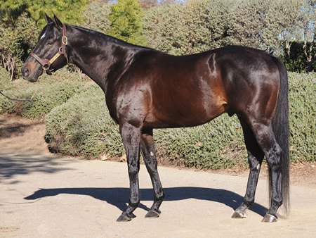 Eight Rings at Rancho San Miguel