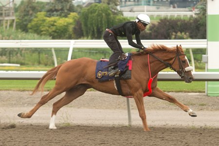 Bond Market strides out while training at Woodbine