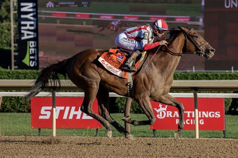 All Eyes on Ways and Means in Filly and Mare Sprint
