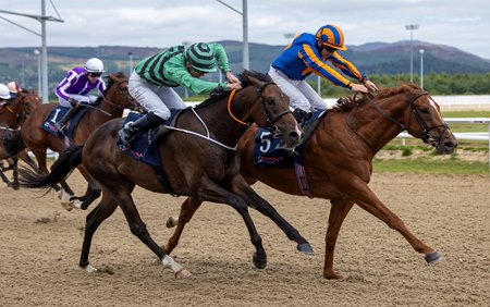 Ile de France (inside) breaks his maiden at Dundalk Stadium