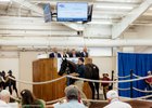 Hip 41, 2026 Texas Summer Yearling Sale