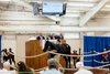 Hip 41, 2026 Texas Summer Yearling Sale