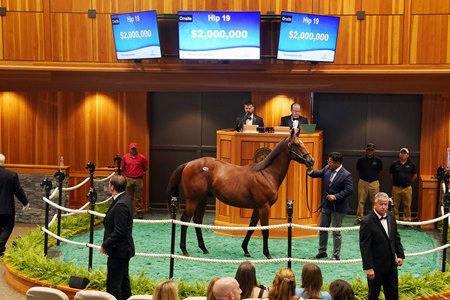 The Curlin colt consigned at Hip 19 in the ring at Fasig-Tipton's The Saratoga Sale
