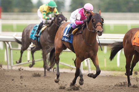 King's Counsel wins the Simcoe Stakes at Woodbine