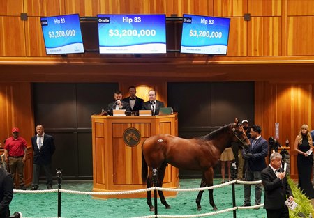 The Nyquist colt consigned as Hip 83 in the ring at Fasig-Tipton's The Saratoga Sale