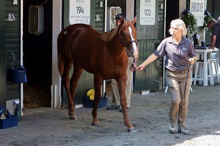 The Gun Runner colt, a full brother to two-time grade 1 winner Society, consigned as Hip 194 at Fasig-Tipton's The Saratoga Sale