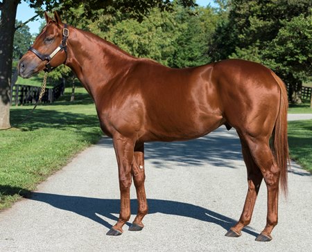 Vekoma at Spendthrift Farm