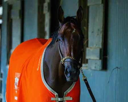 Nitrogen at Saratoga Race Course