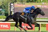 Sovereignty wins the 2026 Whitney Stakes at Saratoga Race Course