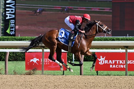 Q B Rocket cruises to victory in August at Saratoga