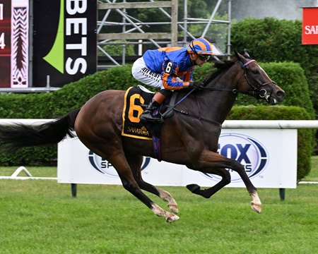 Survie wins the Glens Falls Stakes at Saratoga Race Course