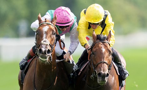Item, Almaqam Meet Again in Irish Champions Stakes