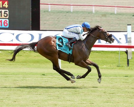 Induction breaks his maiden at Colonial Downs