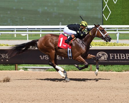 Modonday breaks his maiden on debut at Gulfstream Park