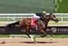 Modonday, Maiden Win, August 15 2026, Gulfstream Park
First winner for Mo Donegal