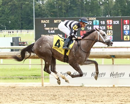 Piggybunz wins her racing debut by 5 1/4 lengths at Colonial Downs