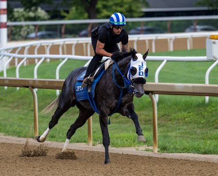 Jose Rivera guides Shisospicy through a 3-furlong workout at Saratoga Race Course