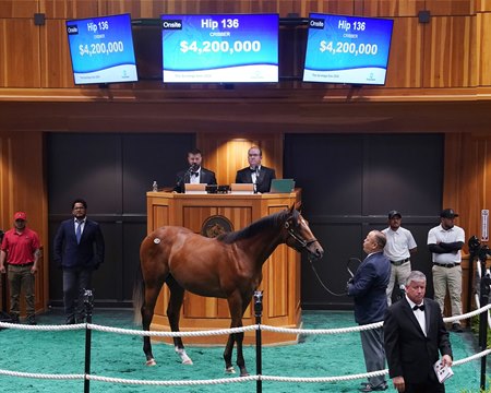 The Into Mischief colt consigned as Hip 136 in the ring at Fasig-Tipton's The Saratoga Sale