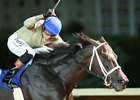 Teachintherelease wins the 2026 Frank Gall Memorial Stakes