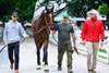 Golden Tempo being led into the paddock for schooling. 
Saratoga scenes at Saratoga Race Course in Saratoga Springs, N.Y., on August 27, 2026. 