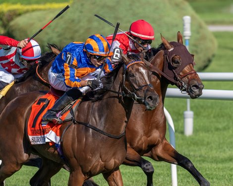 Survie Returns in Prix Vermeille as Breeders' Cup Prep