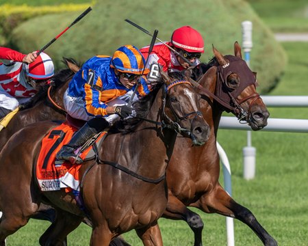 Survie wins the Christophe Clement Turf Stakes at Saratoga Race Course