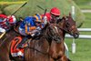 Survie #7with jockey Manny Franco catches and passes the leaders on the outside to win the 52nd running of The Christophe Clement Turf at the Saratoga Race Course Saturday Aug.15, 2026 in Saratoga Springs, N.Y. 