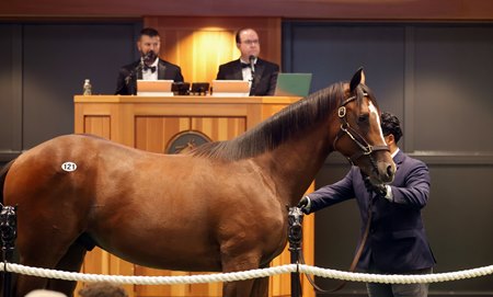 Hip 121, an Into Mischief colt, sells for $2.6 million during Fasig-Tipton's The Saratoga Sale