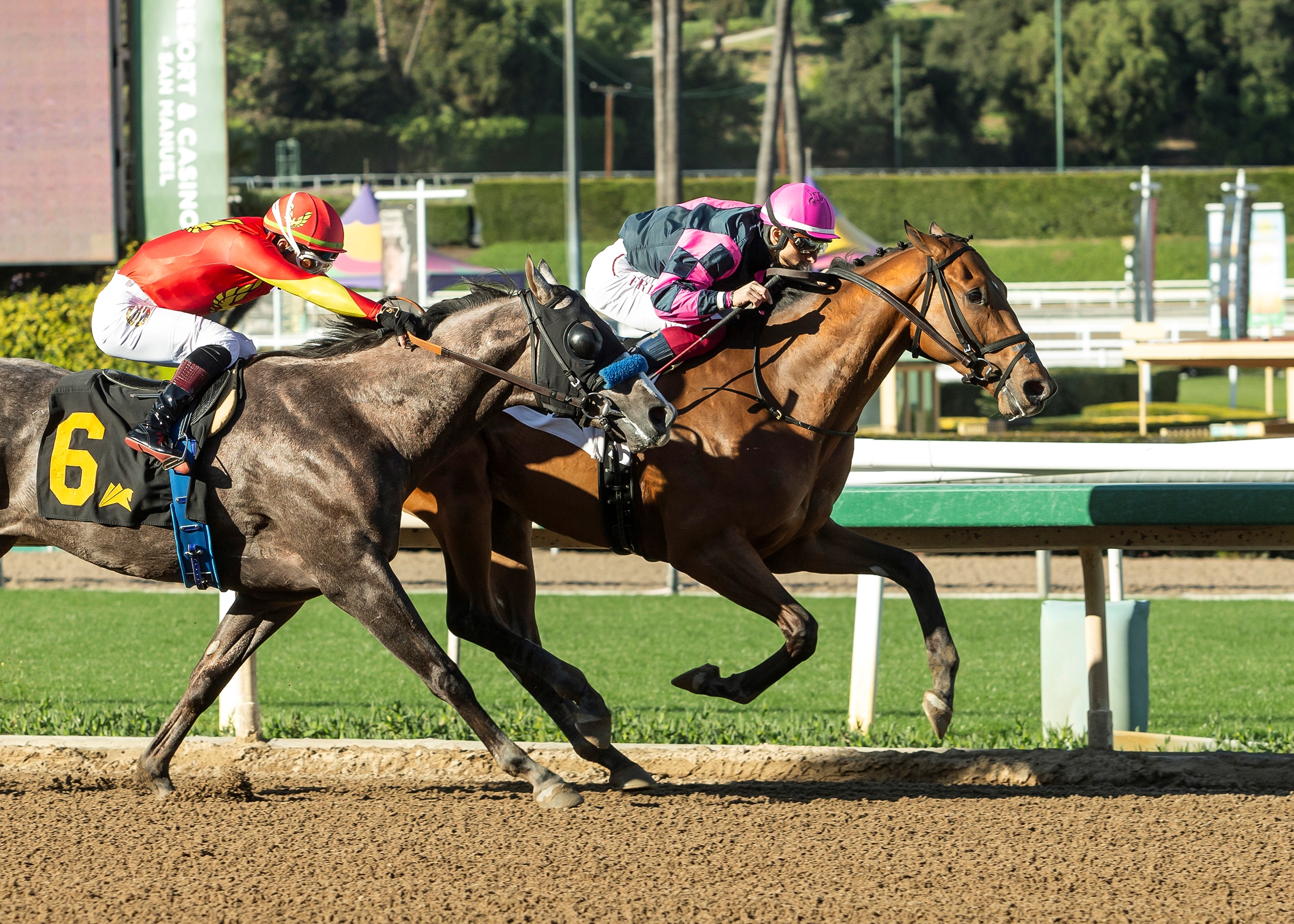 Large Catalog Assembled for Tattersalls July Sale - BloodHorse