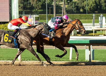 Sharons Beach breaks his maiden at Santa Anita Park