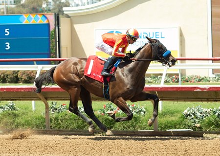 Miss Monica cruises in her debut at Del Mar