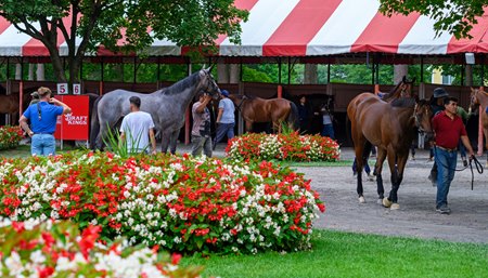 The Saratoga Race Course paddock