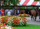 Busy paddock schooling session that included several Travers Stakes (G1) contenders. 
Saratoga scenes at Saratoga Race Course in Saratoga Springs, N.Y., on August 27, 2026. 