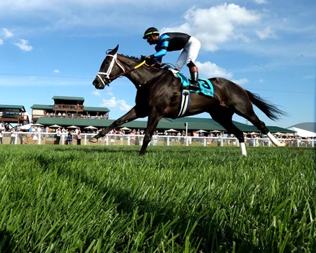 In Our Time wins the Ladies Turf Sprint Stakes at Kentucky Downs