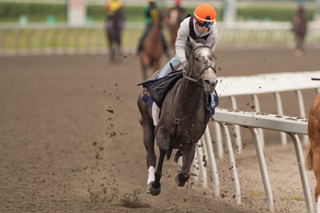 Luster trains at Woodbine