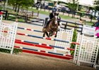Gude Affair named 2025 Rood &amp; Riddle Sport Horse of the Year