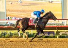 Godolphin LLC's Knightsbridge and jockey Junior Alvarado win the Grade I $1,000,000 Pacific Classic Saturday, August 22, 2026 at Del Mar Thoroughbred Club, Del Mar, CA. The Kentucky-bred son of Nyquist is trained by William I. Mott.
Benoit Photo