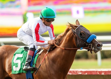 Inshallah wins first out at Del Mar