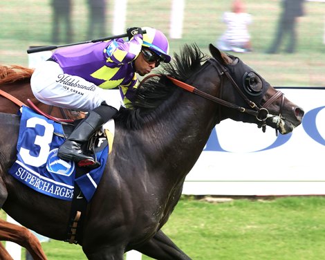 Supercharger Draws Outside Post in Old Dominion Derby
